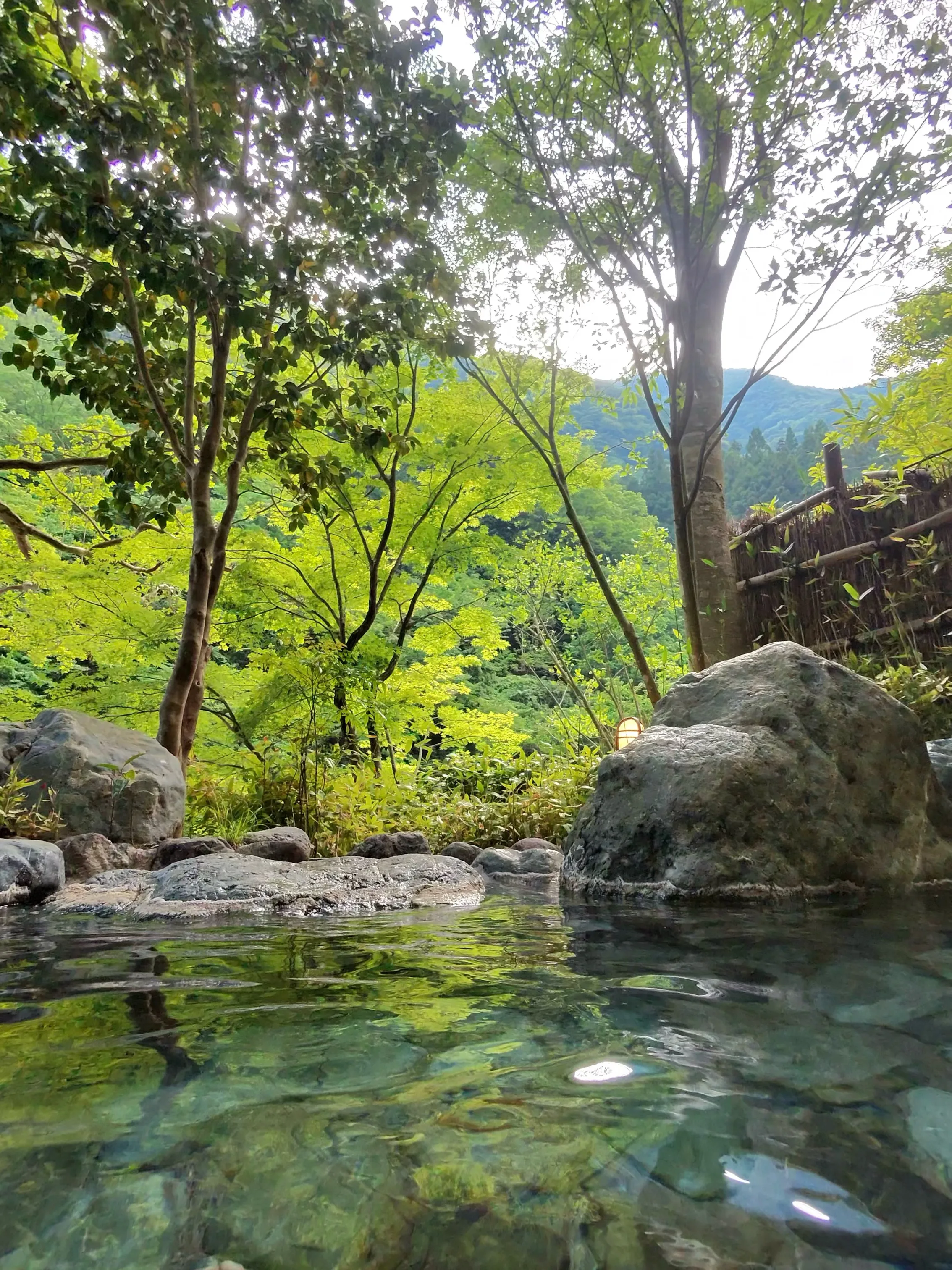 Hayakawa, Japan